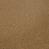Textured Carpet